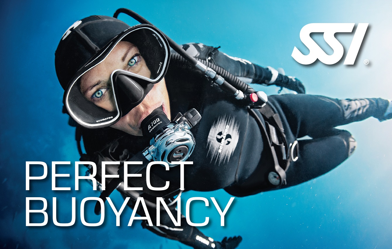 Image of Perfect Buoyancy Scuba Diver certification card